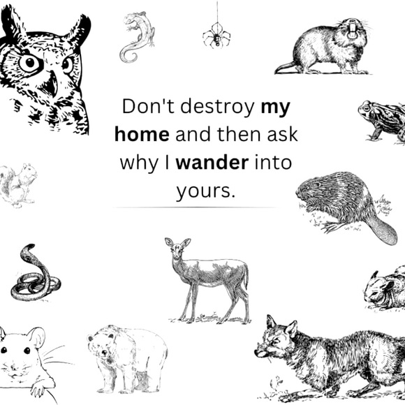 Exclusive Posh Branded Marketing Kit Box - Picture 1 of 1